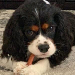 Meet your Posher, Jeanne